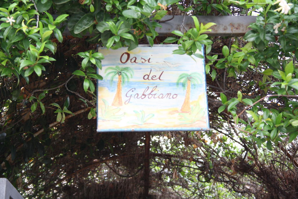 Allotjament i esmorzar Oasi Del Gabbiano Syracuse
