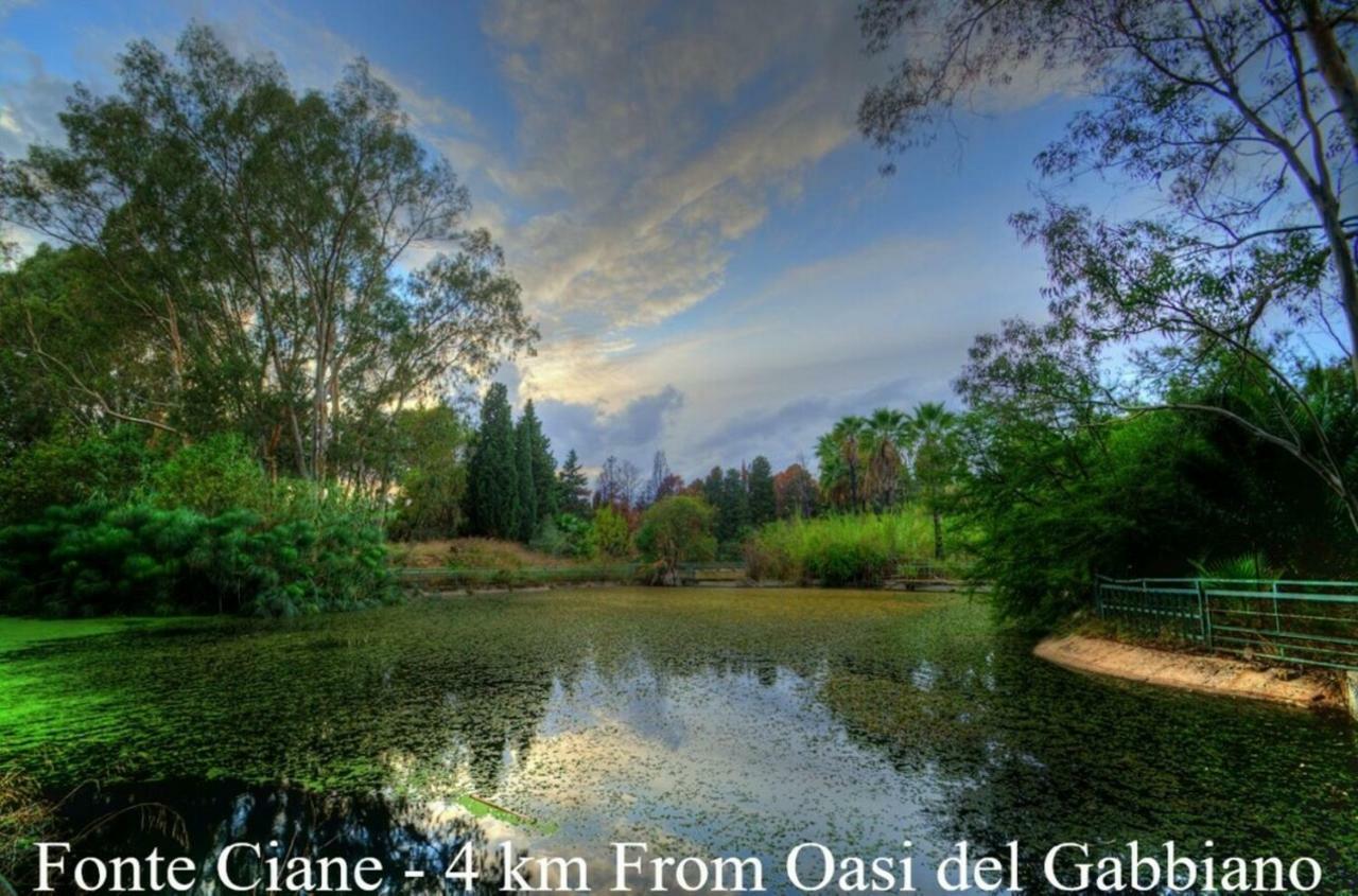 Oasi Del Gabbiano Syracuse