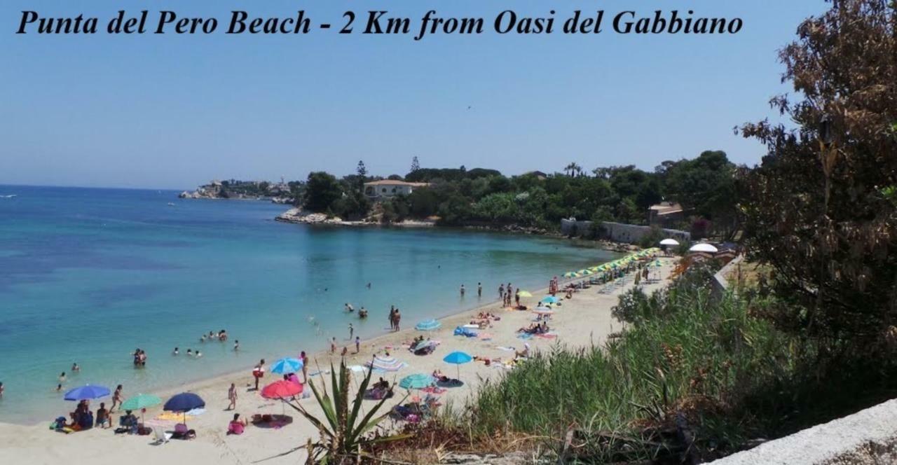 Oasi Del Gabbiano Bed & Breakfast Syracuse