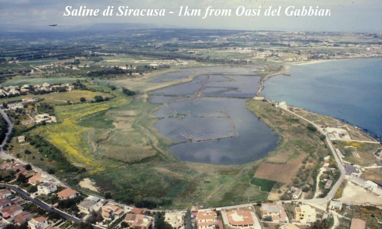 Oasi Del Gabbiano Frühstückspension